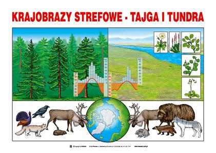 Geografia plansze naukowe dydaktyczne