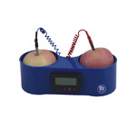 Zegar z baterią owocową