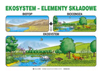 Edukacja ekologiczna , 20 plansz (50x70cm)