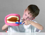 Higiena jamy ustnej -duży model do nauki