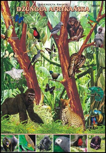 Dżungla afrykańska plansza dydaktyczna