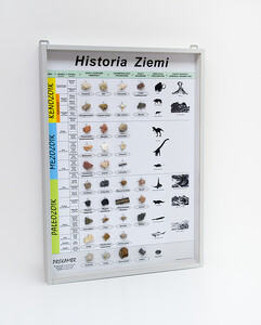 HISTORIA ZIEMI – gablota edukacyjna 90cm x 65cm