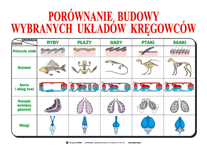 Zoologia Sprawdzian Nowa Era Liceum