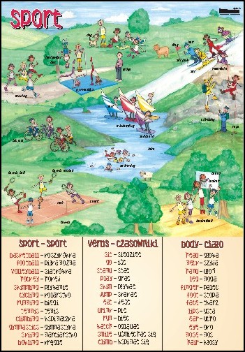 Plansza dydaktyczna do języka angielskiego - dyscypliny sportowe i